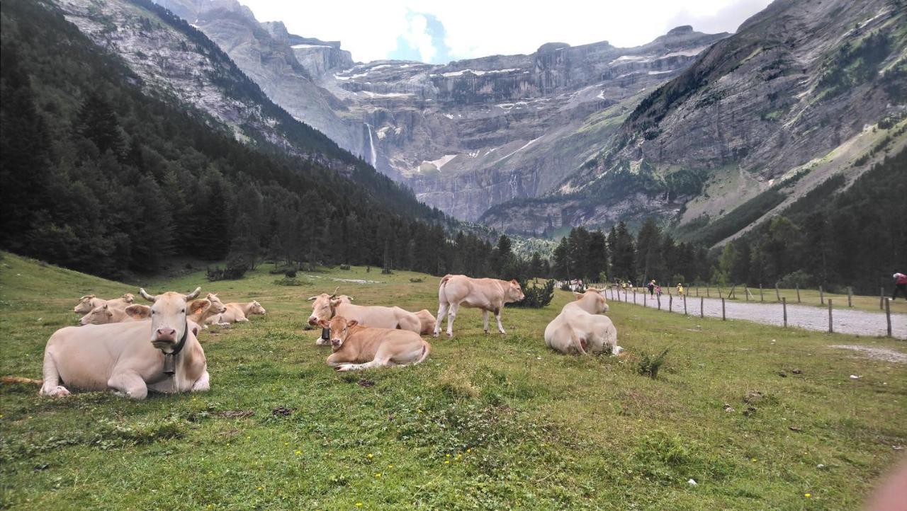 Studio En Pleine Montagne Avec Vue Sur Marmottes La Mongie Exterior photo