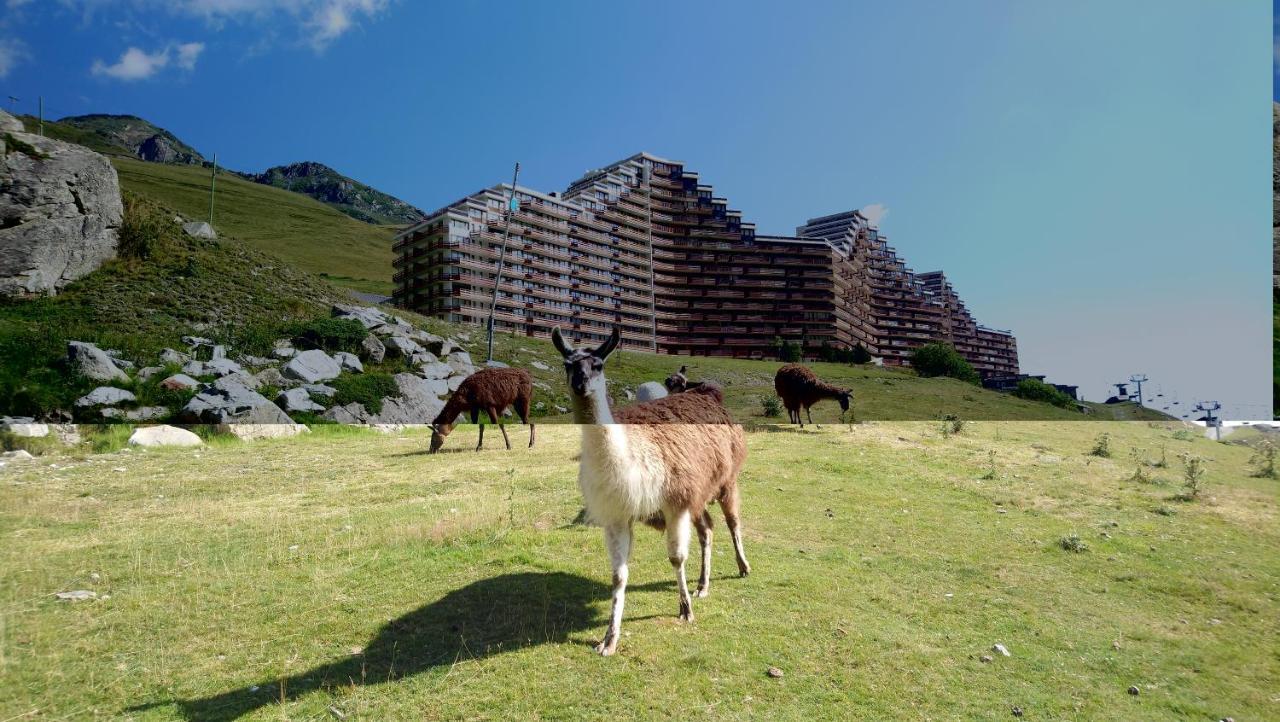 Studio En Pleine Montagne Avec Vue Sur Marmottes La Mongie Exterior photo